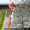 palmsonntag 2017 040